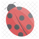 Ladybug Ladybird Insect Icon