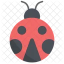 Ladybug  Icon