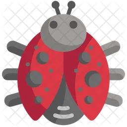 Ladybug  Icon