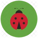 Ladybug Animal Icon