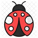 Ladybug Ladybird Bug Icon