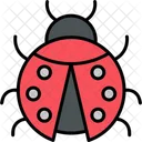 Ladybug  Icon