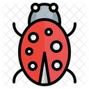 Ladybug  Icon