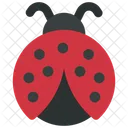 Ladybug Spring Insect Icon