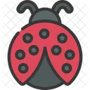 Ladybug  Icon