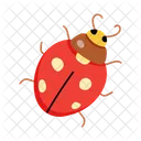Lady Beetle Ladybug Bug Icon