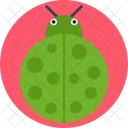 Ladybug Green Bug Bug Icon