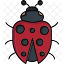 Ladybug Insect Bug Icon