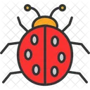 Beetle Bug Cute Icon