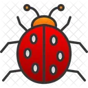 Beetle Bug Cute Icon