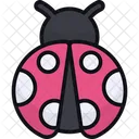 Ladybug Ladybird Bug Icon