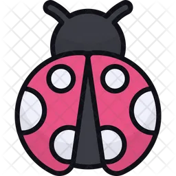 Ladybug  Icon