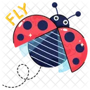 Animal Bug Ladybird Icon