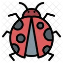 Ladybug Insect Bug Icon
