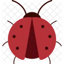 Ladybug Spring Nature Icon