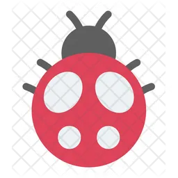 Ladybug  Icon