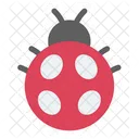 Cute Ladybug Ladybug Ladybugs Icon