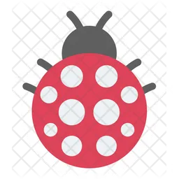 Ladybug  Icon