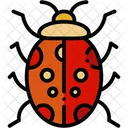 Ladybug  Icon