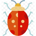 Ladybug Animal Wildlife Icon