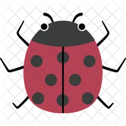 Ladybug  Icon