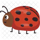 Ladybug Insect Beetle Icon
