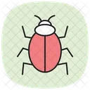 Ladybug Insect Beetle Icon