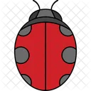 Ladybug  Icon