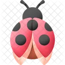 Ladybug Insect Bug Icon