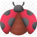 Ladybug Insect Bug Icon