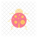 Ladybug Insect Bug Icon