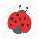 Ladybug  Icon