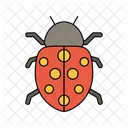 Ladybug Insect Bug Icon