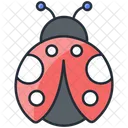 Ladybug Insect Bug Icon