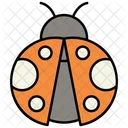 Ladybug Icon