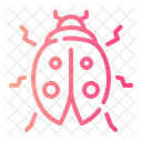 Ladybug  Icon