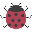 Insect Icon