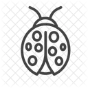 Ladybug  Icon