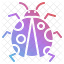 Ladybug  Icon