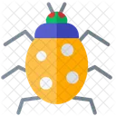 Ladybug insect  Icon