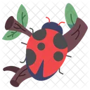 Ladybug Insect Bug Icon