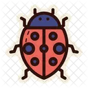 Ladybug Insect Bug Icon
