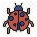 Ladybug Insect Bug Icon