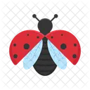 Animal Nature Bug Icon