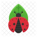 Animal Nature Bug Icon