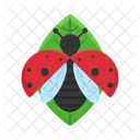 Animal Nature Bug Icon
