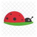 Animal Nature Bug Icon