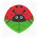 Animal Nature Bug Icon