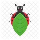 Animal Nature Bug Icon