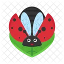 Animal Nature Bug Icon